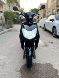سكنس فحل • ياباني • اوراق