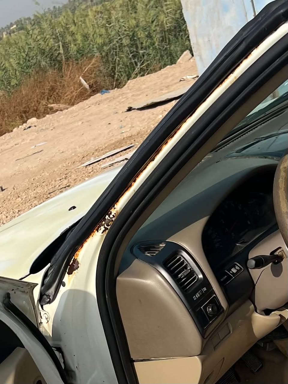 ماكسيما • ٢٠٠٨ • بدون صبغ