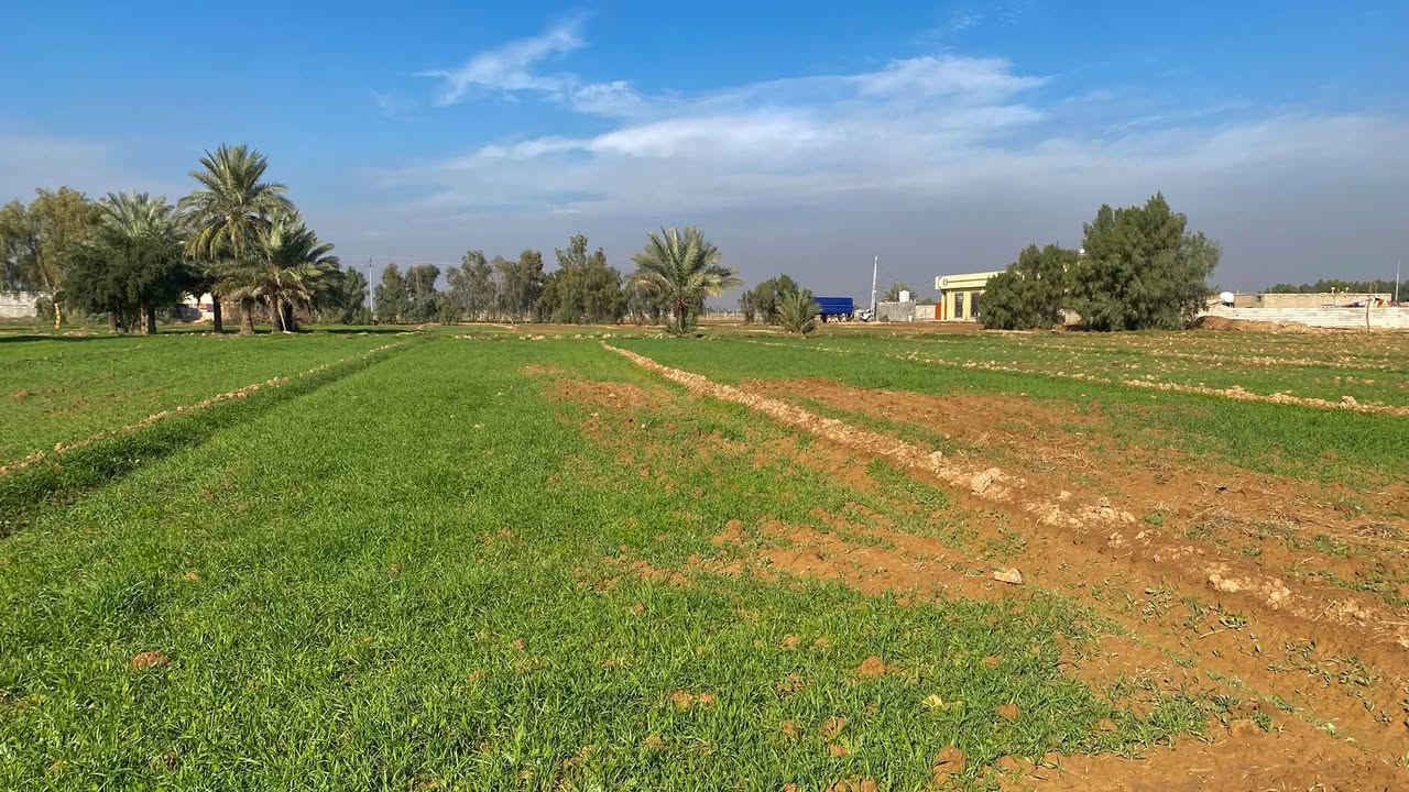 النهروان بغداد • أرض ١٠٠٠م • ماء كهرباء بوري