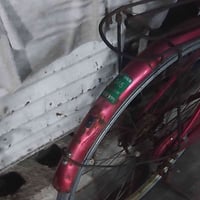 باسكل بناتي حجم 27 باسكل لشته نضيفه بس بي نقوصات الي بيالصورة واني مسو...
