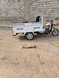 ستوته • ذاماكو • مراوس