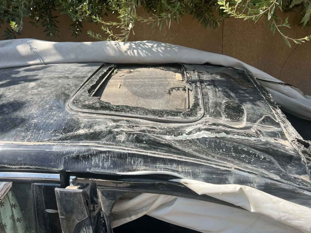 فيوجن هايبرد • ٢٠١٩ • عليه حادث