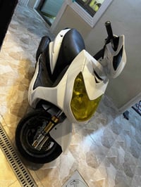 سكنس ياباني • زنون • اوراق اصولية