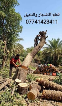قطع أشجار • قطع نخيل • بستنة