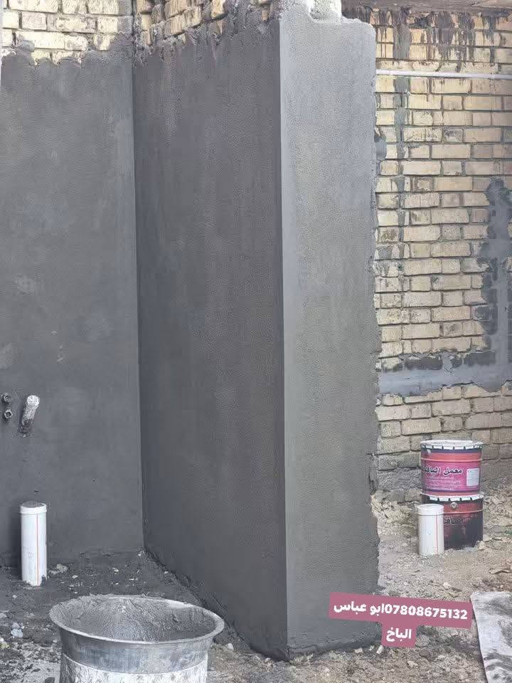 البصره • جص • سقل/طرطشة