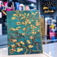شنايزر • سجلات • كوت العزة