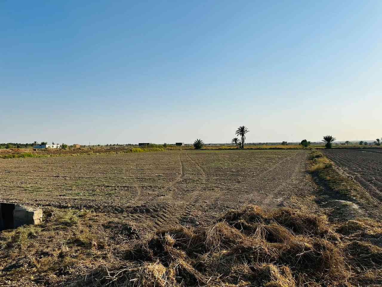 زنكورة الرمادي • ٢ دونم • طابو زراعي