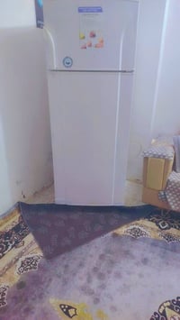 فول تجميد • فستل تركي • كربلاء