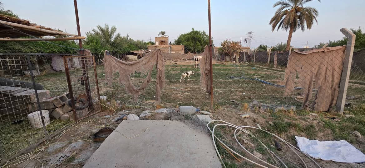 نص دونم طابوا زراعي سند 25 على طريق ابو الجاسم يبعد عن الشارع العام 400م يحتوي على بيت متكون من غرفتين واستقبال وصاله ومطبخ وصحيات ومشتمل صغير  مع غرفه وهول الوجه 20م النزال 70م مع نهر قرب البيت السعر ب 49 مليون 
الاستفسار  ***********

