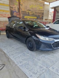 شفر كروز • ٢٠١٩ • دخول جديد