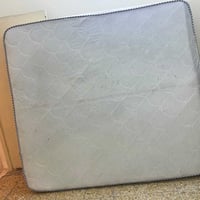 دوشك نفرين