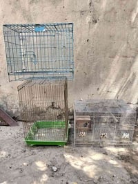 بغداد الشماعيه 07711243127 بغداد, العراق