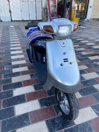 بطه • جديده • زنون