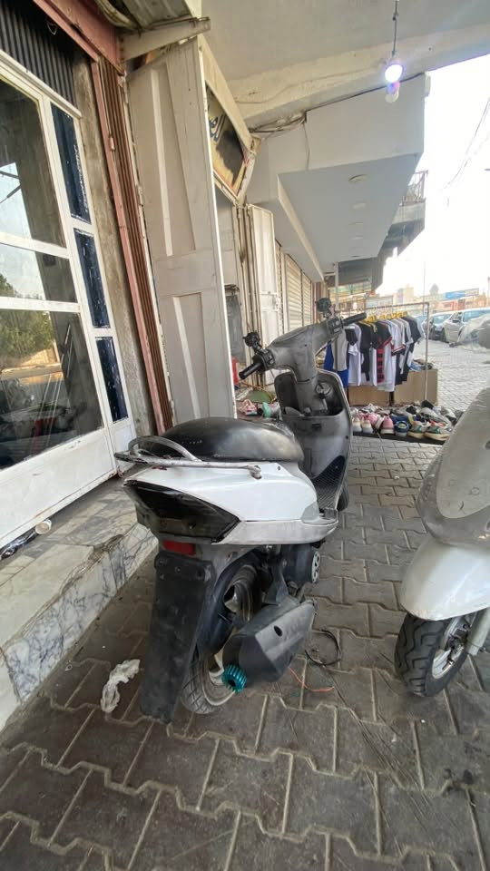 منغولي للبيع سعر500 مفتوحه بس لاستيك ولف فقط  رقم ***********
