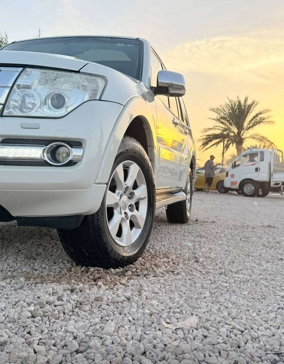باجيرو • ماشية ١٠١ • كفالة عامة