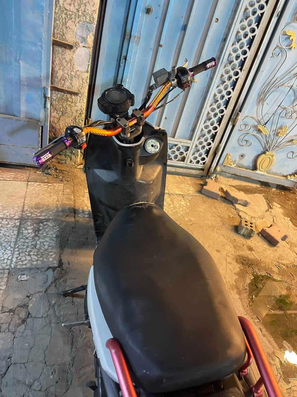 سكنس جبلي • كفاله • لايتات زنون