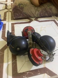 هورنات • طاط شرد • مفحوص