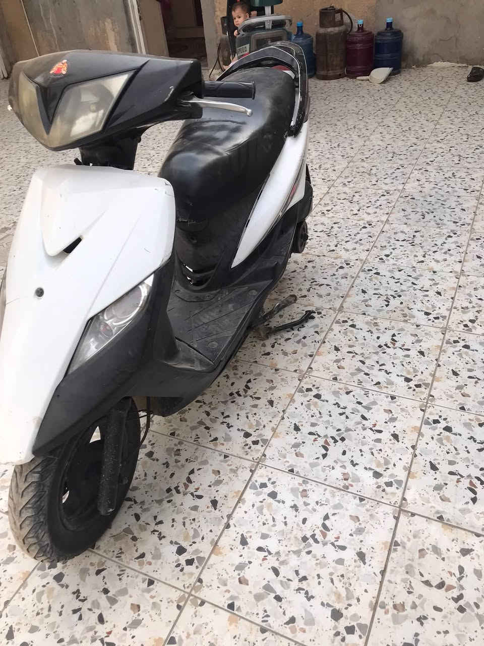 سكنس ثعلب • ٢٠٠٦ • اوراق كامله
