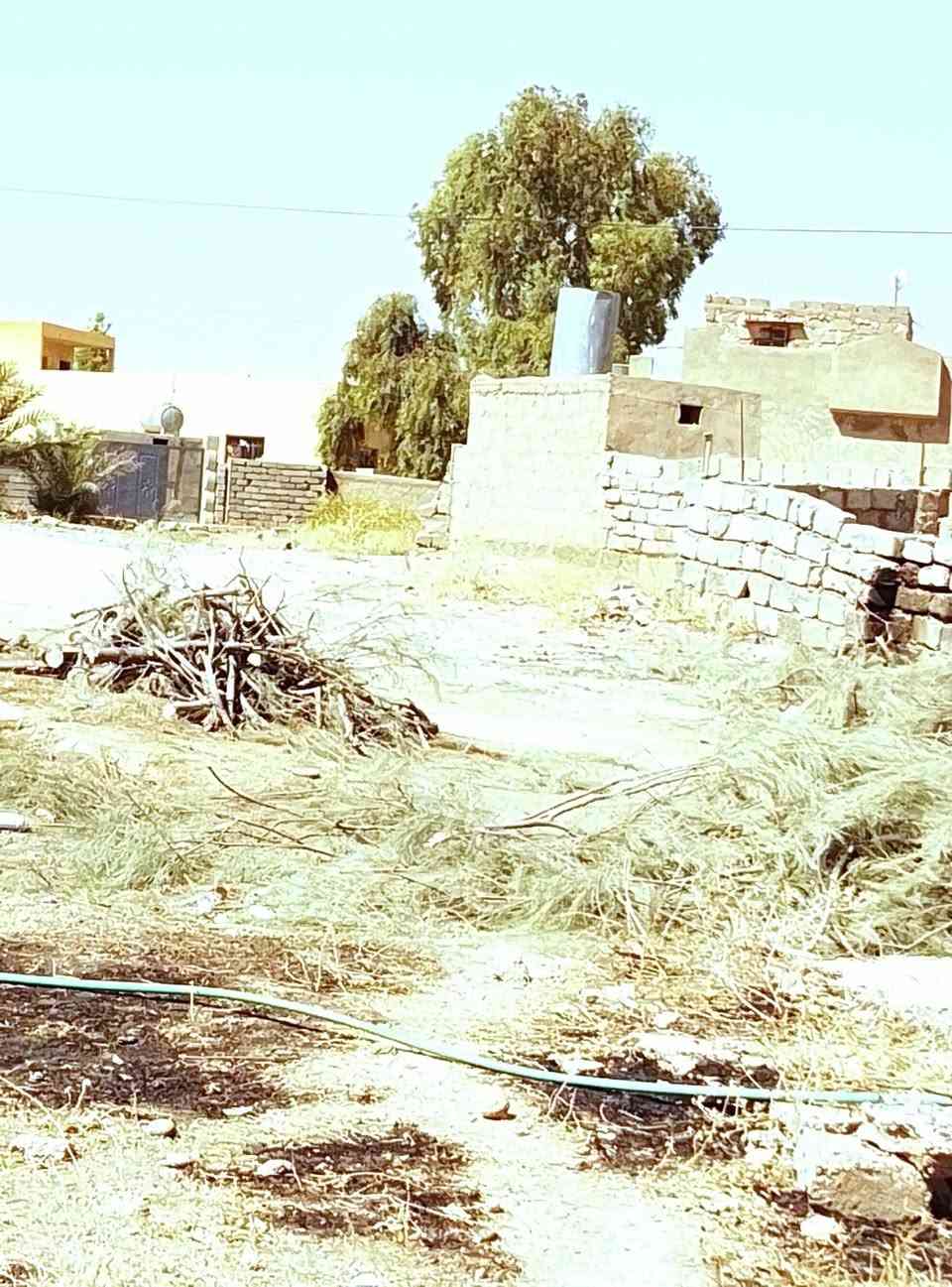 السلام عليكم يوجد موطور كص خشب كص وتنضيف  اليحتاج وين ما جان اجيك بس خابر او راسل ***********
