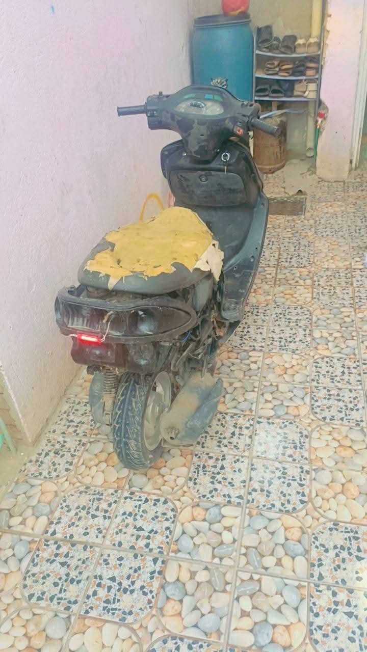 دولفين • كفالة • يحتاج كفرات
