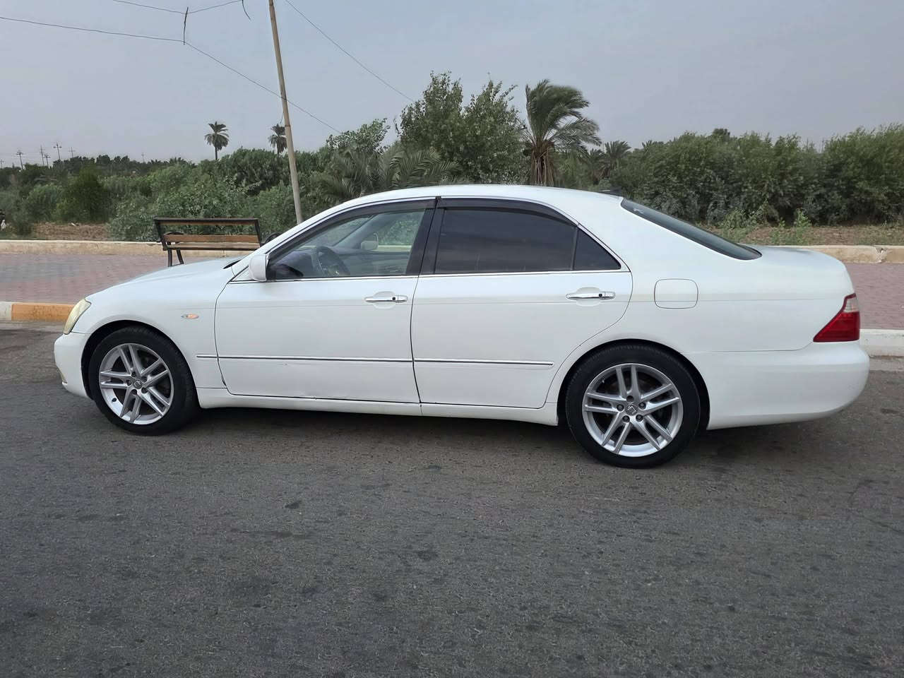 شاهينة • ٢٠٠٦ • نضيفة