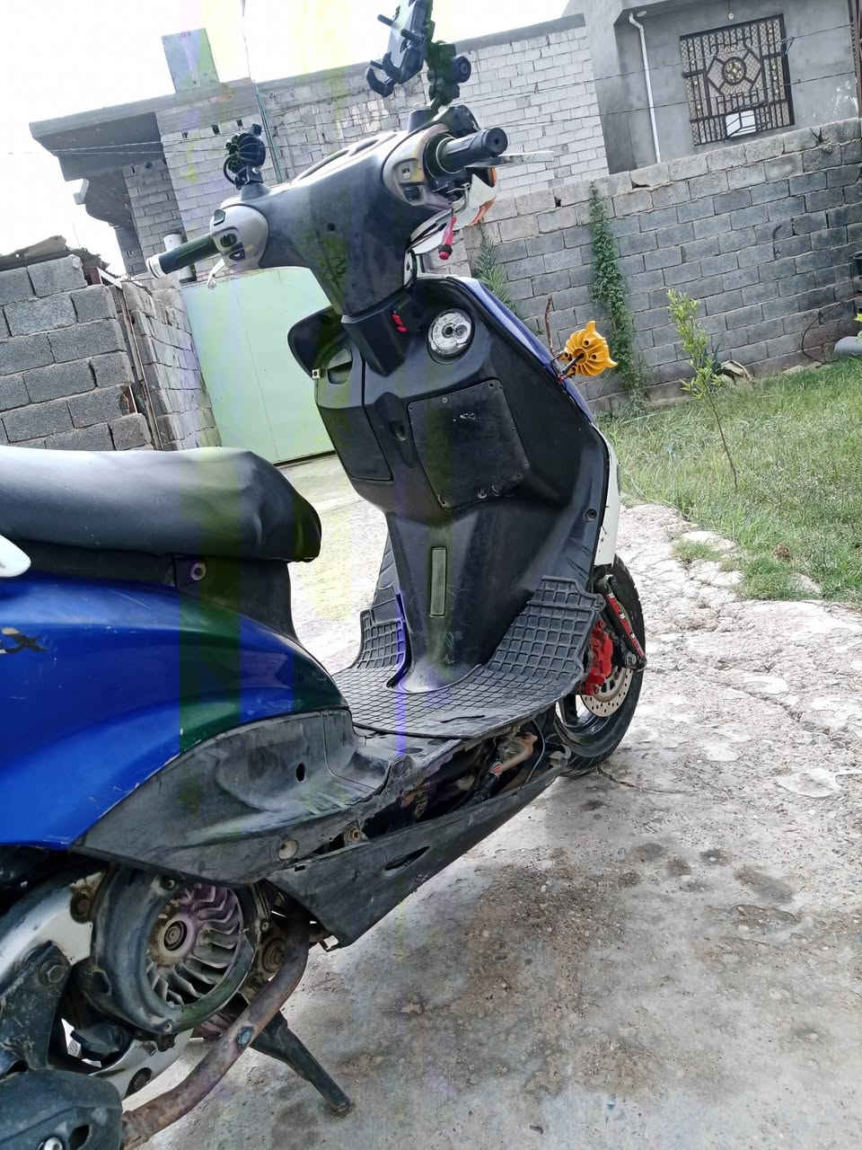 سكنس نثيه • ياباني • ١٤٠