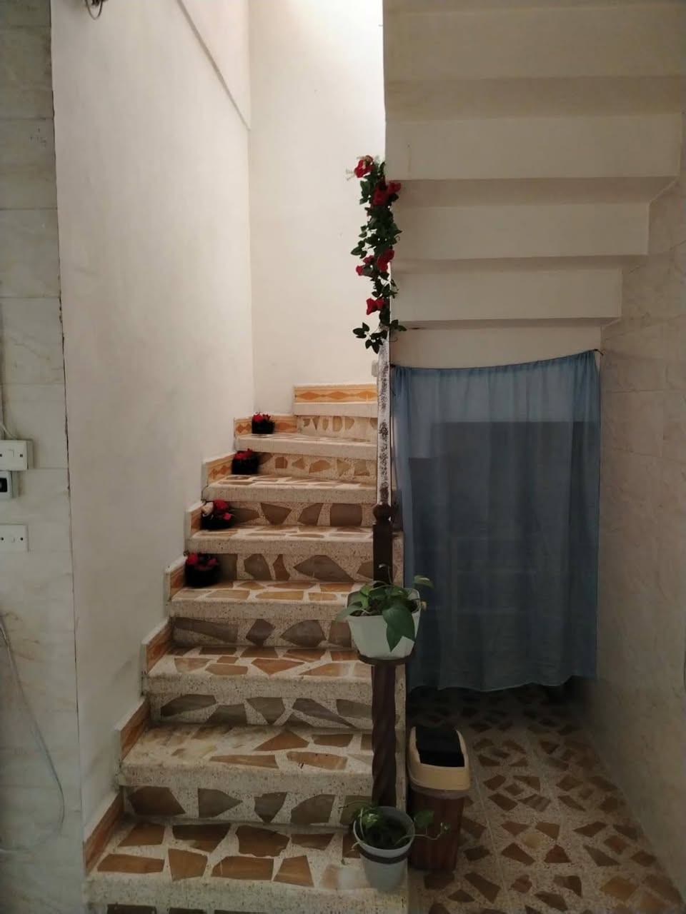🏡 دار للبيع – موقع مميز
📍 الموقع: بداية مزارع زيونة، قرب دائرة المرور
📐 المساحة: 176 متر
📏 الواجهة: 8 متر
📏 العمق: 25.5 متر
🏠 الدار: طابق ونصف

🔹 تفاصيل الدار:

3 غرف نوم

صالة

منور عدد 2

حمام غربي

حمام شرقي

حديقة بمساحة 4 × 4 متر

💰 السعر: 145 مليون دينار

📞 للتواصل والاستفسار:
***********

موقع مميز وقريب من الخدمات – للجادين فقط.

