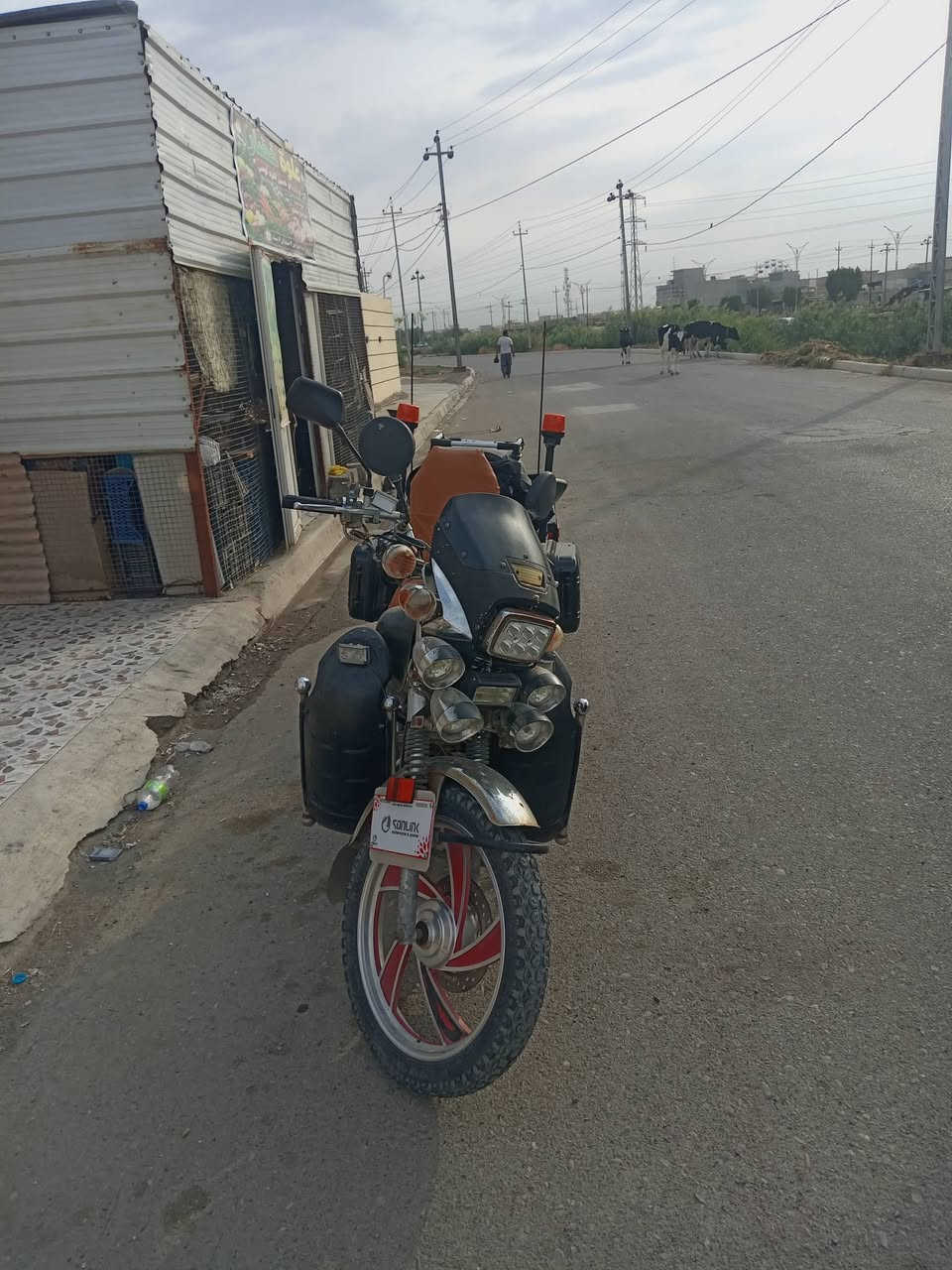 عربان • كهربائي طافي • بدون أوراق