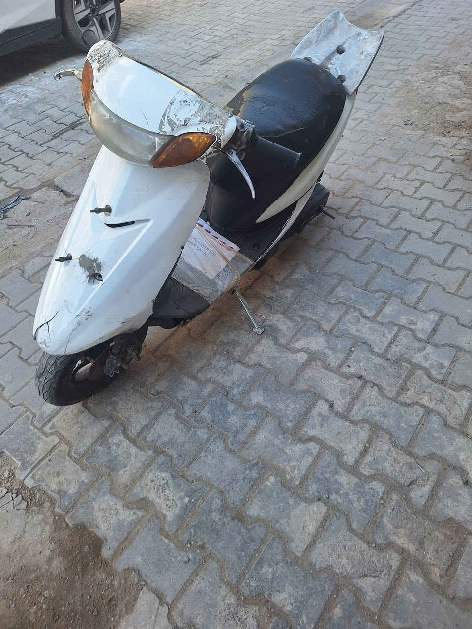 عصفورية • ابيض • مكفولة