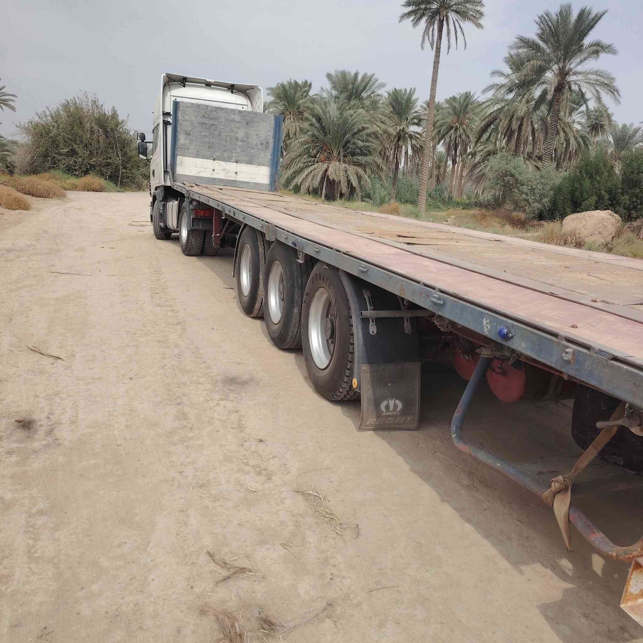 سكانية • ٢٠٠٨ • واقع حال