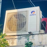 سبلت • كري • فحص