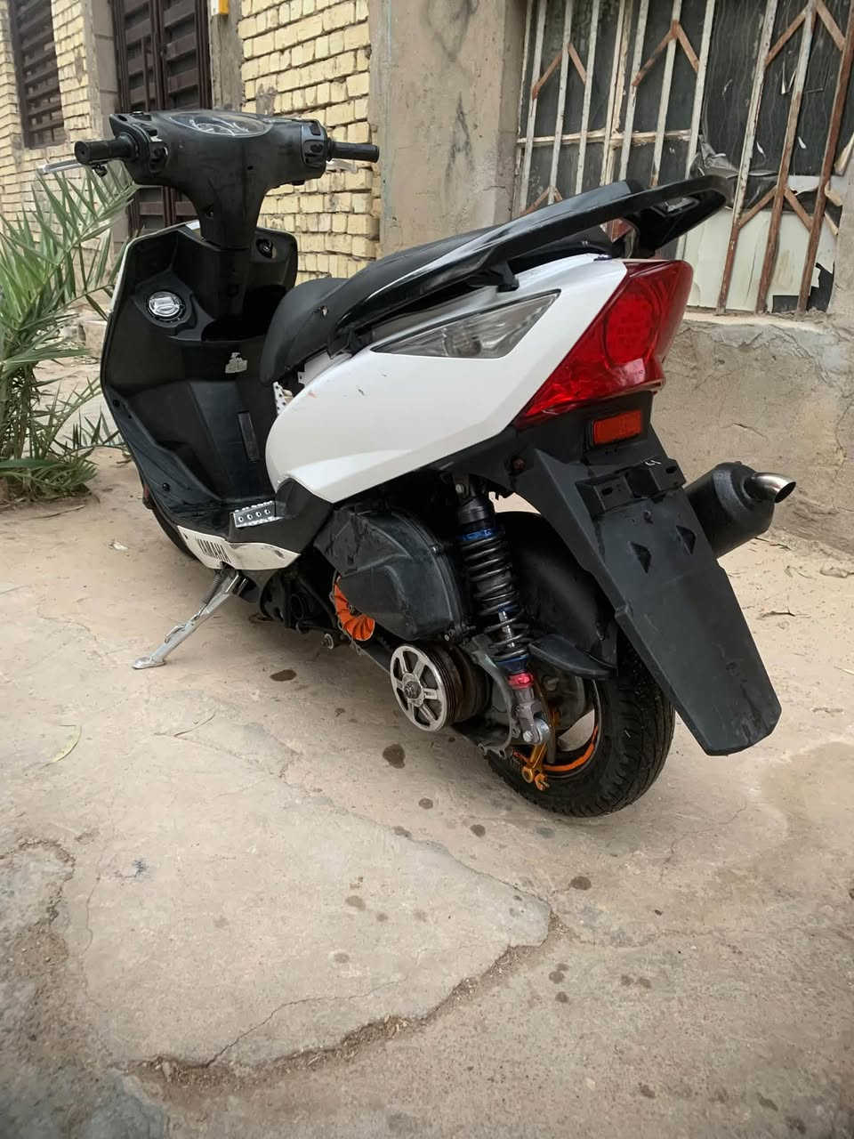 ثعلب • مزوده • بوشه 58