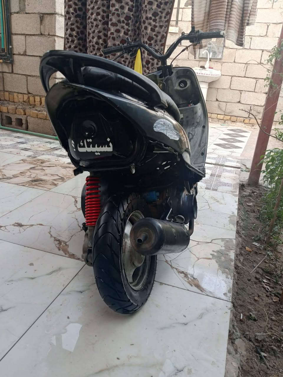 ماكس منغولي • معدل • بوشه 55
