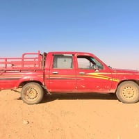مصبوغة عام • مجال للشراي