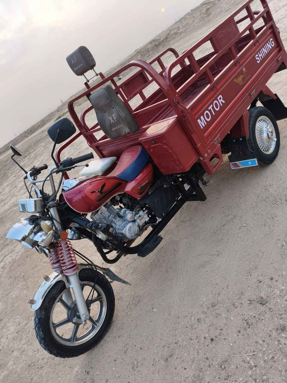 ستوته • موديل ٢٣ • مرقمه