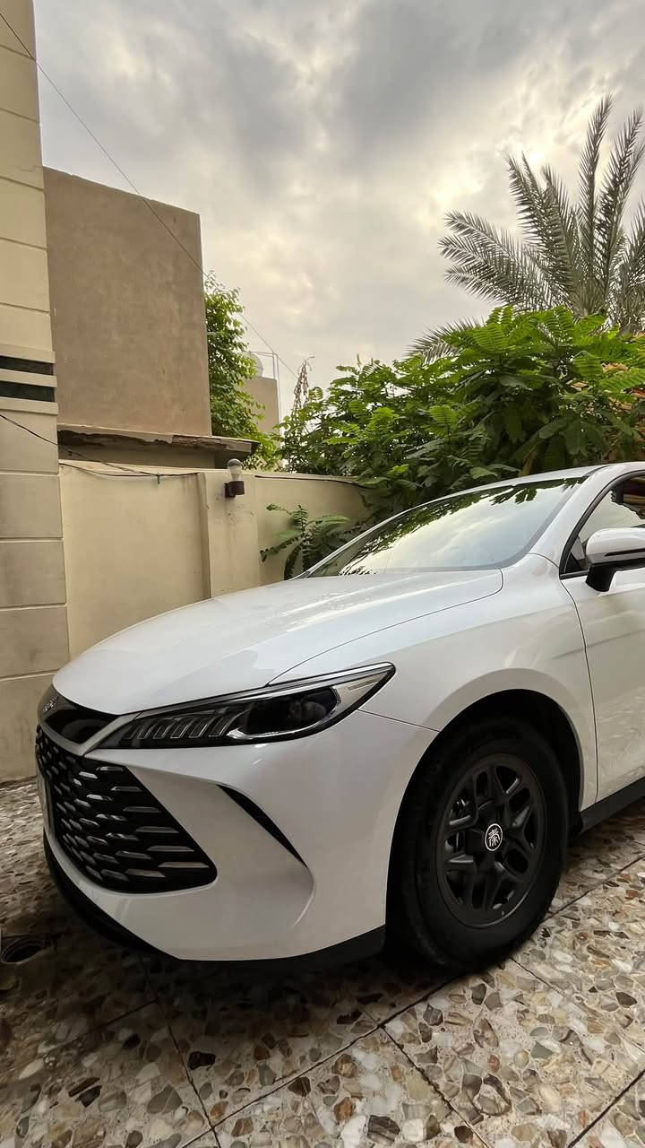 كن بلاس • ٢٠٢٥ • كفالة عامة