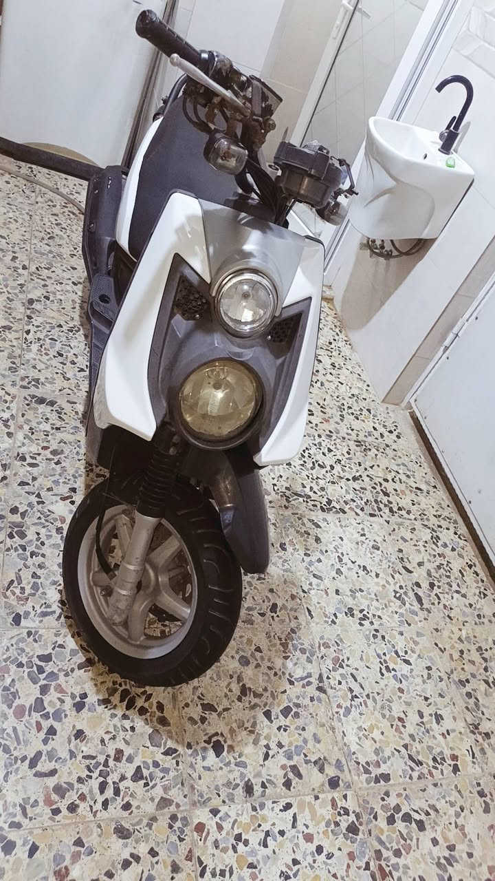 سكنس • نازله من رمبه • ٣ أشهر
