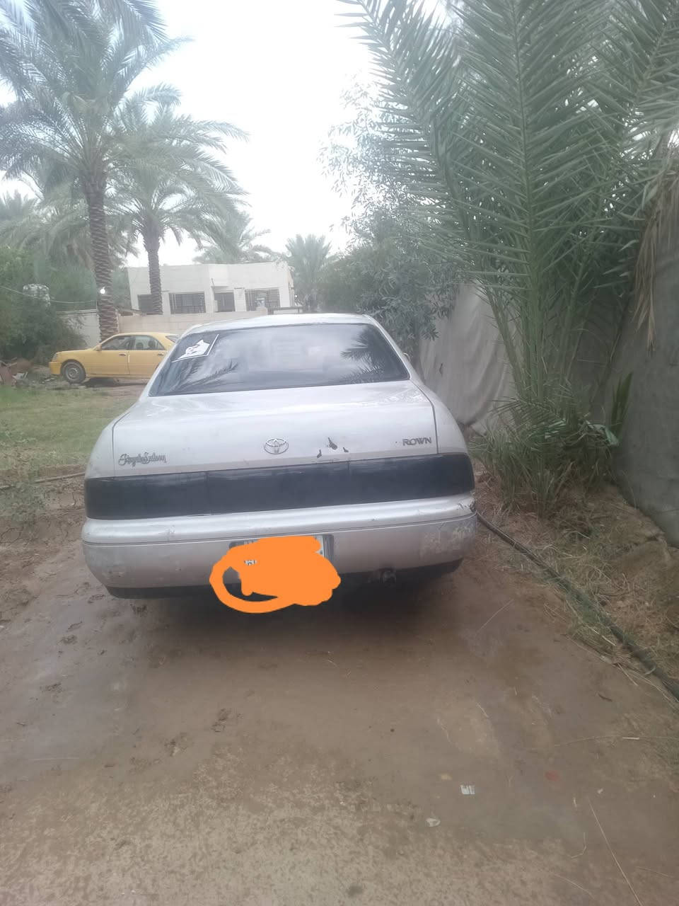 بطه • مكينه جديده • بابل الهاشميه