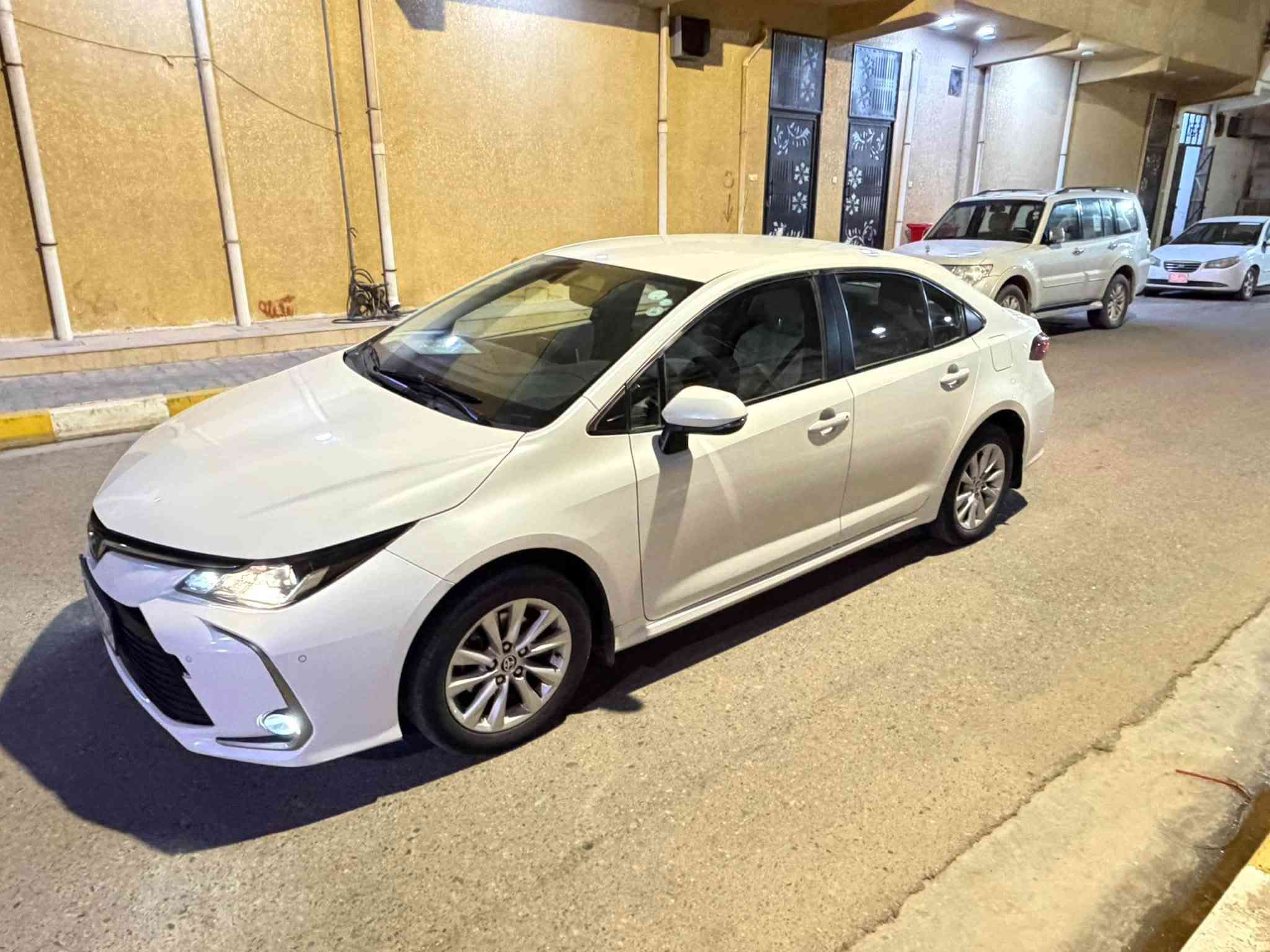 كورلا • ٢٠٢٣ • لوحة اربيل