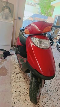 سبيسي • ياباني • مكفولة