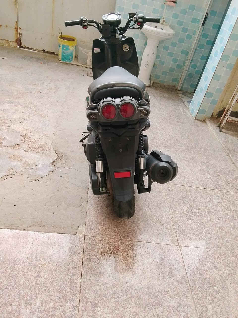 ماكو جبلي • حاويه • جديده