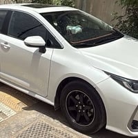 رنج ١٦ • مراوس • للبيع