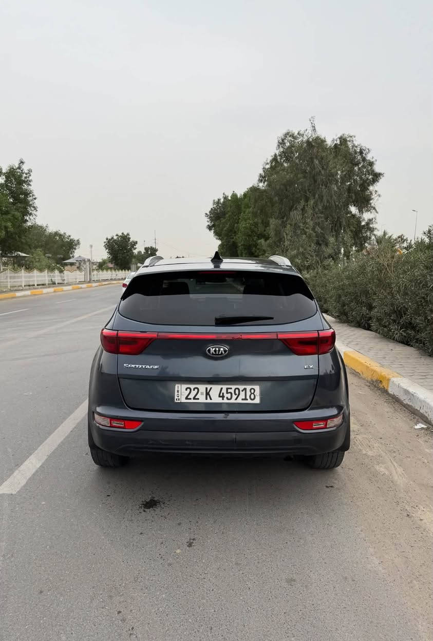 سبورتج • ٢٠١٧ • بانوراما