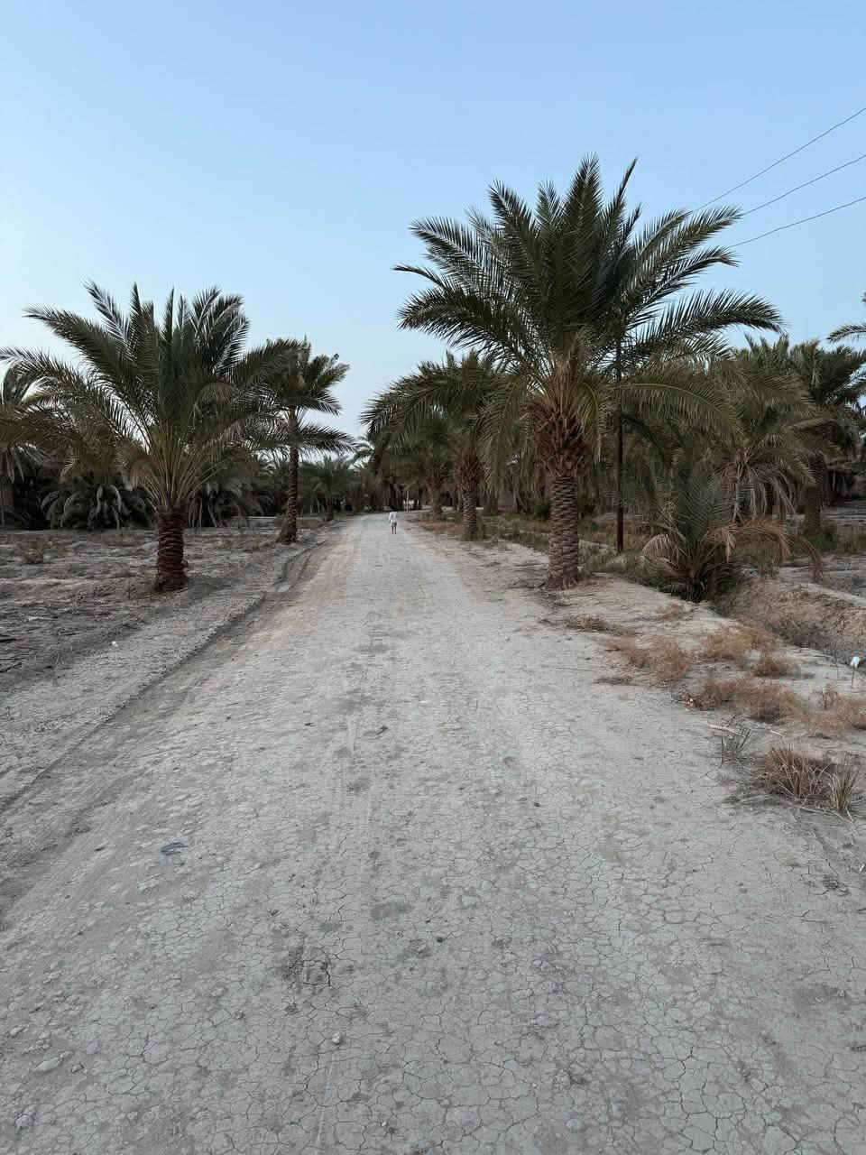 ٦ دونم • طابو سند ٢٥ • سماوه السوير
