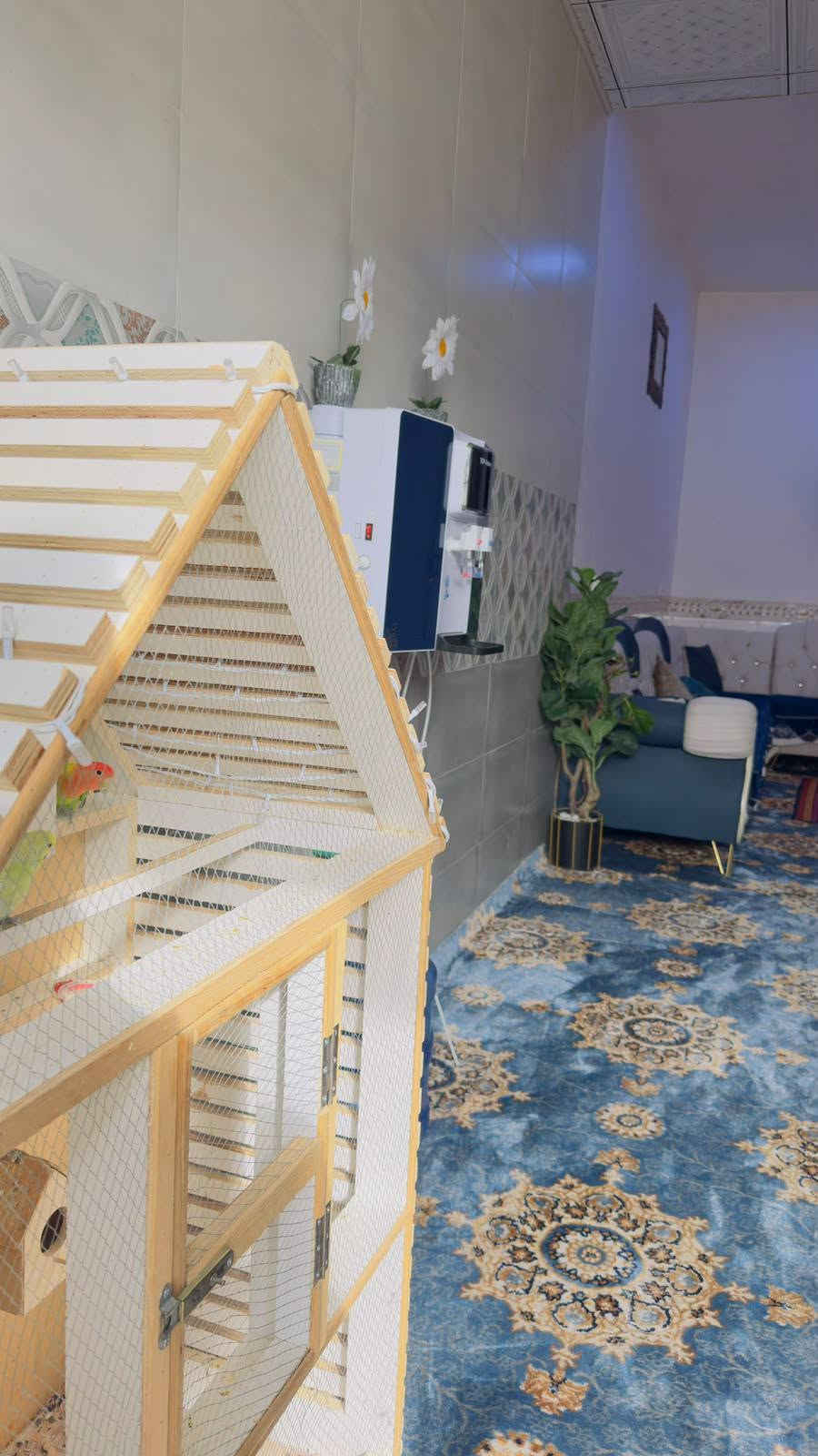سلام عليكم يوجد بيت مساحه 100 طابقين البيع مع الأثاث في كربلاء كنطرت سلام شارع المدرسي جاهز يصلح حسينيه وسكن يبعد عن المام 2 عقد زراعي قرار 117 مشمول بل طابو متوفر كافت الخدمات سعر البيت 110 مليون وبي مجال الستفسار علا رقم *********** أبو مالك الاسدي
