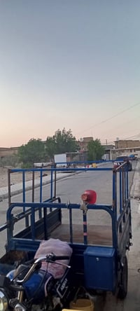 محجر • ستوتة • كوت