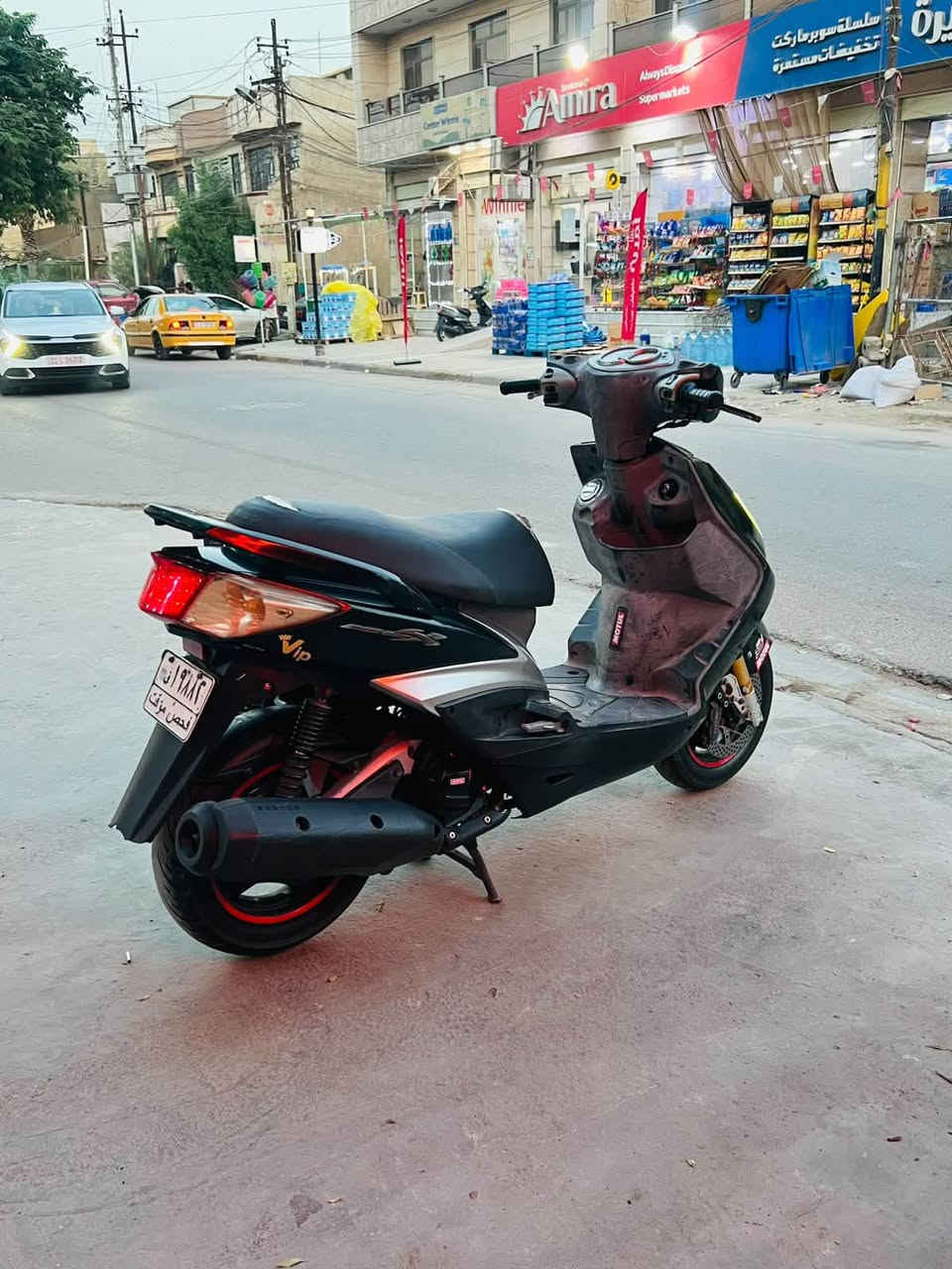 سكنس فحل • اوراق كاملة • رياضي