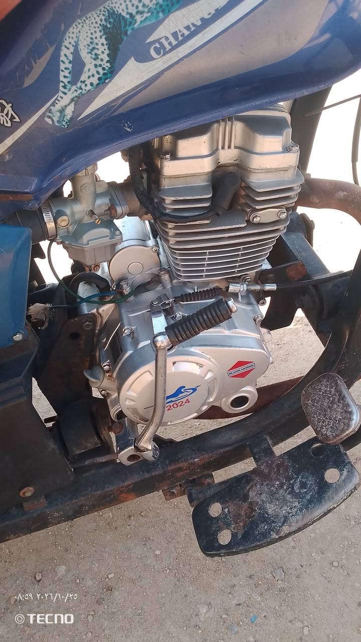 ٢٠٢١ • نضيفه • كربلاء العطيشي