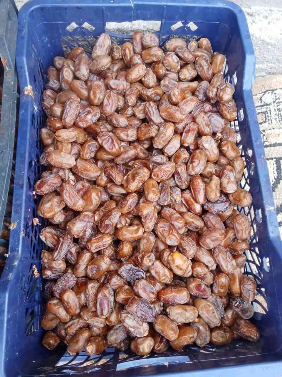 السلام عليكم
تمر شويثي درجة أولى مثل ما بالصوره واحسن كميات خير من الله
المكان قلعة سكر جدوع
***********
