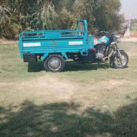 ستوته • ميدل١٩ • مكفوله